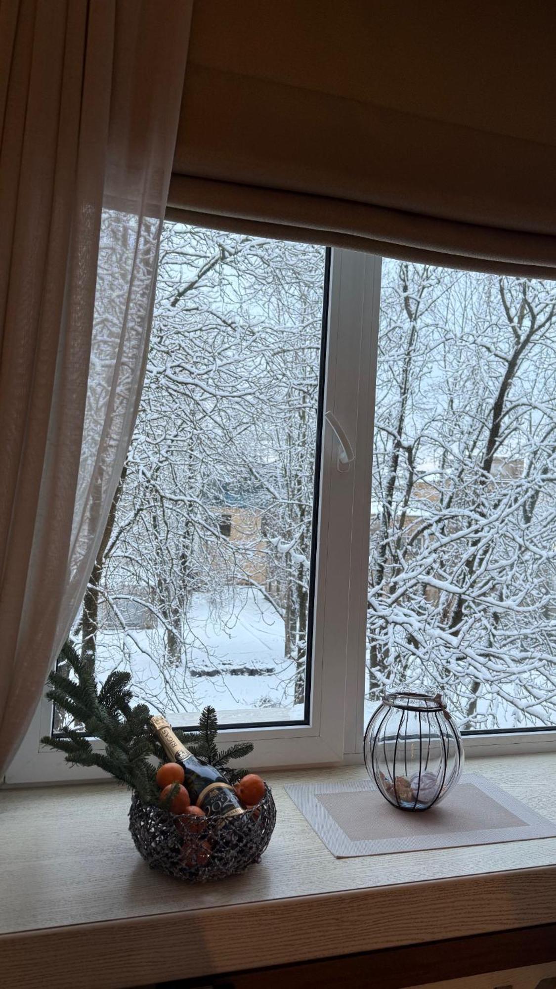 Cozy In The Center Of Appartement *