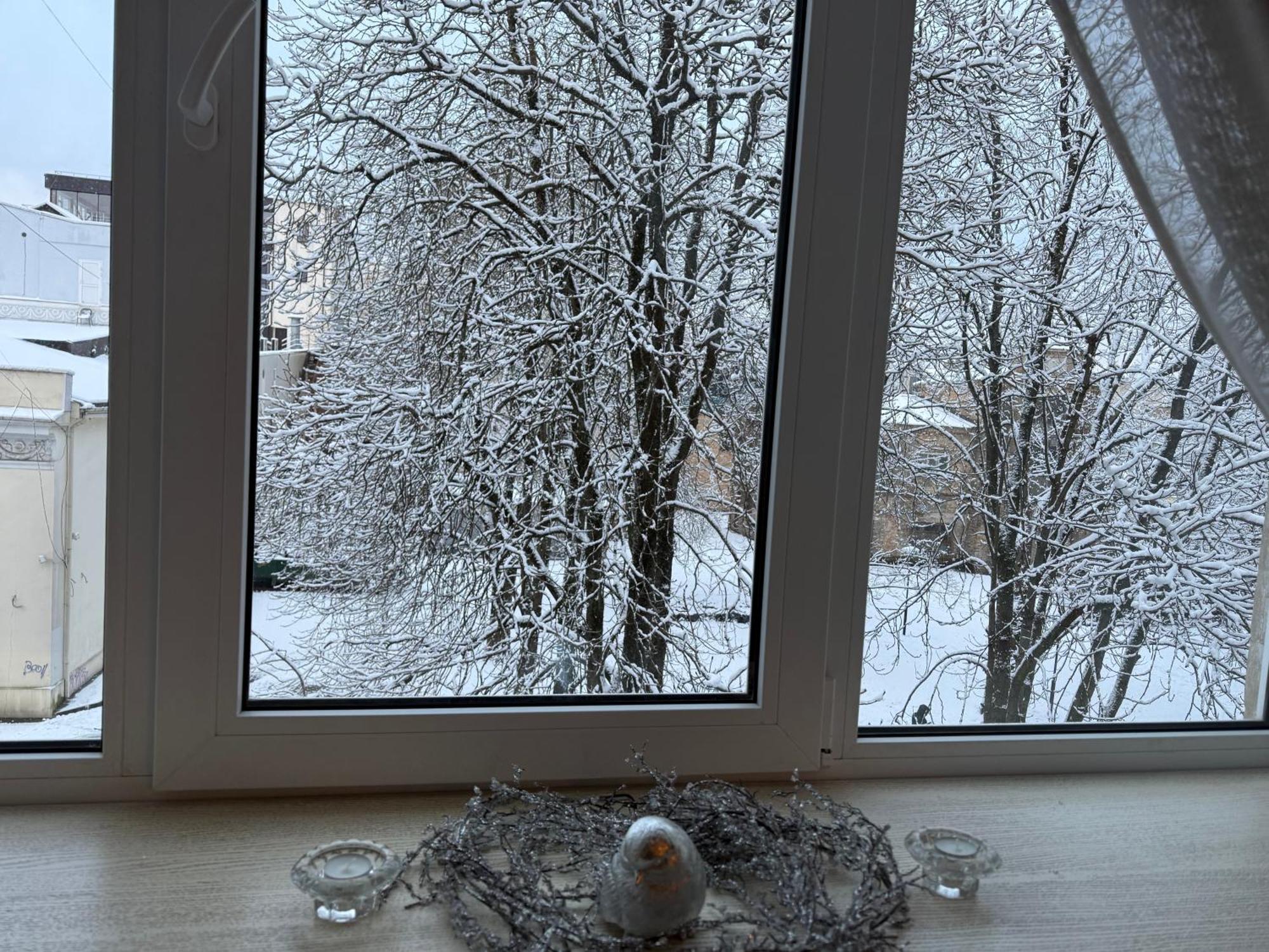 Appartement Cozy In The Center Of